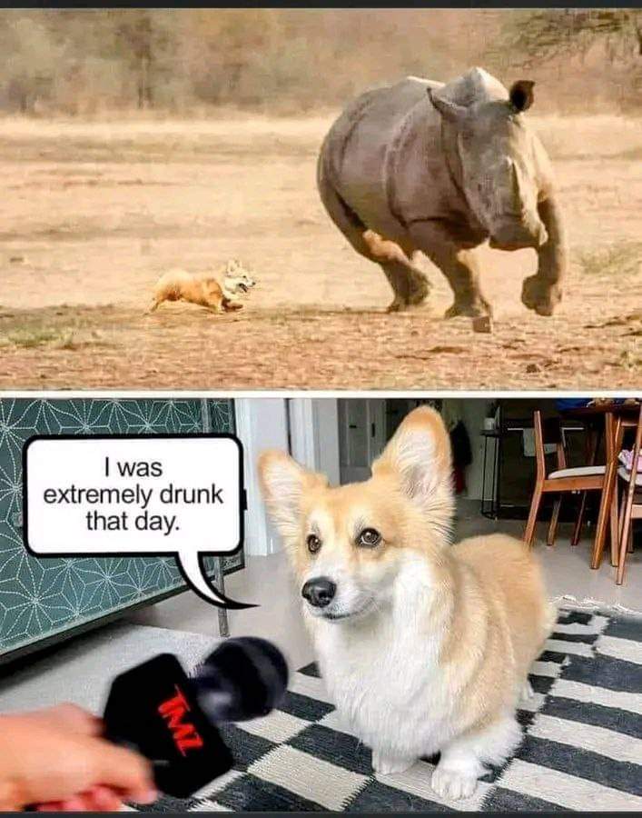FB_IMG_1707594208253.jpg