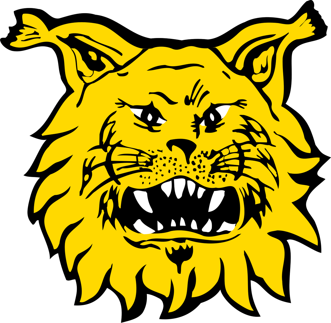ilves-peilikuva.png