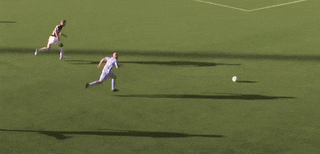 pukkigif.gif