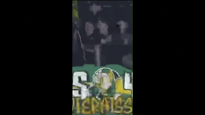 Video Project 14.gif