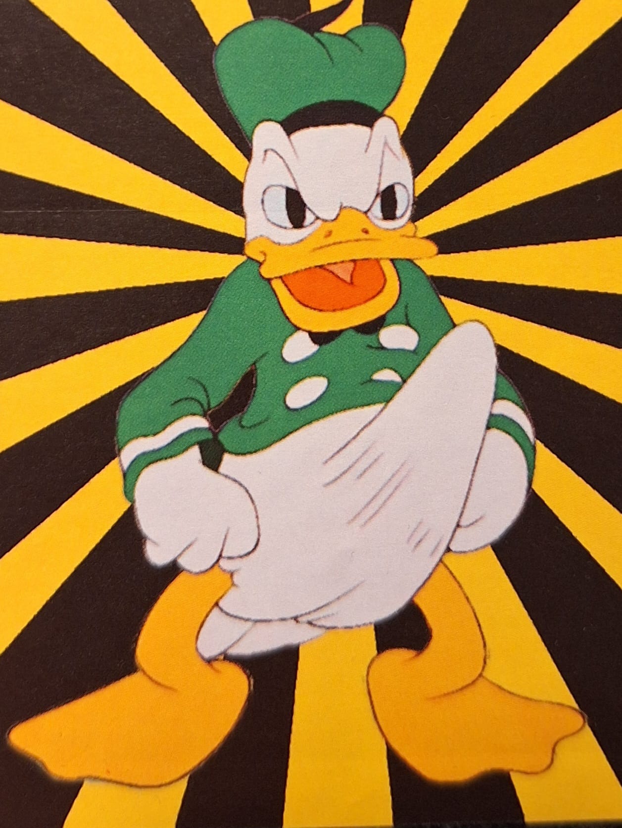 WhatsApp Image 2025-12-31 at 13.05.56.jpeg