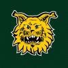 ilves_vs_Rijeka_480.gif