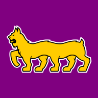 Violetti kolmospaita